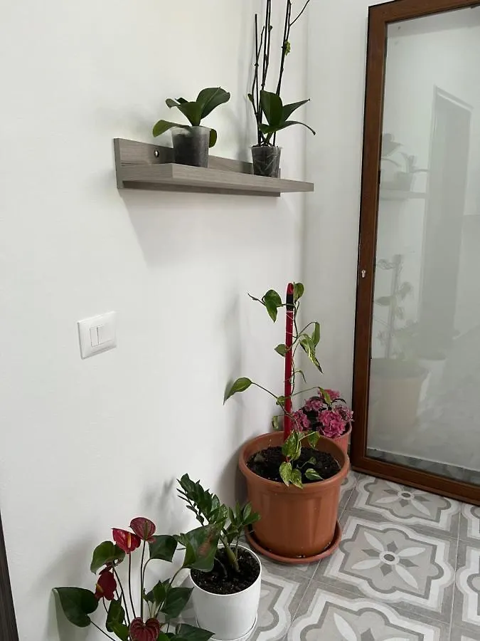 Bed & Breakfast Villa Rreze Dielli Vlorë
